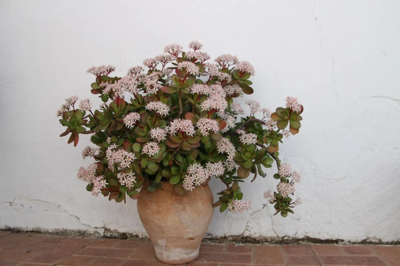 Appartement El Balcon Fuente-Tojar